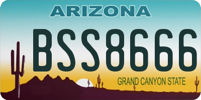 AZ license plate BSS8666