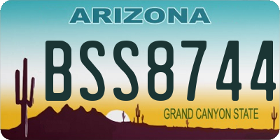 AZ license plate BSS8744