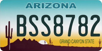 AZ license plate BSS8782