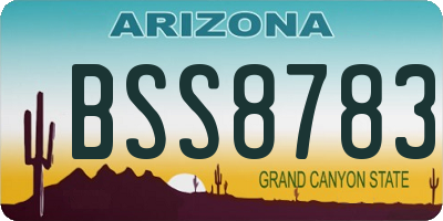AZ license plate BSS8783