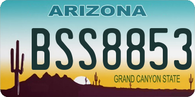 AZ license plate BSS8853