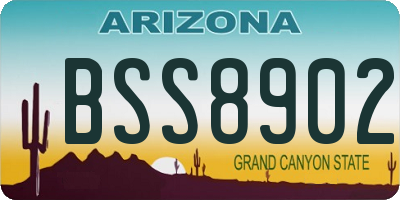 AZ license plate BSS8902