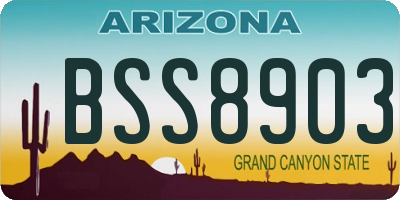 AZ license plate BSS8903