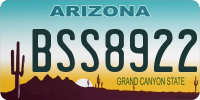 AZ license plate BSS8922