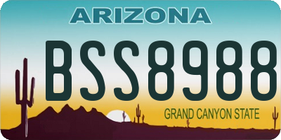 AZ license plate BSS8988
