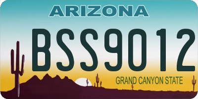 AZ license plate BSS9012