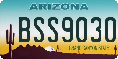 AZ license plate BSS9030