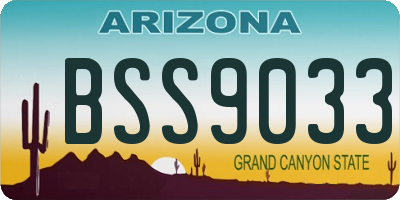 AZ license plate BSS9033