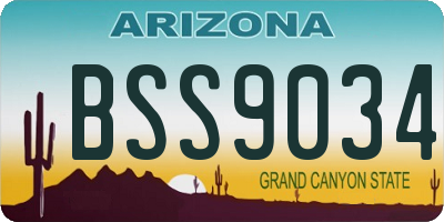 AZ license plate BSS9034