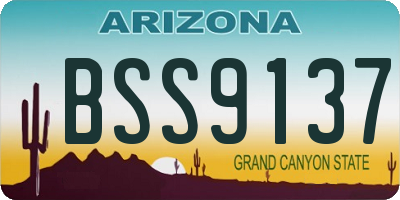 AZ license plate BSS9137