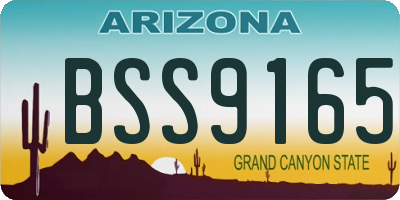 AZ license plate BSS9165