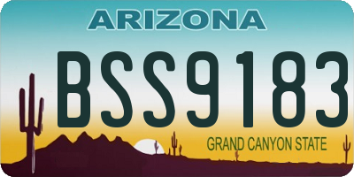 AZ license plate BSS9183