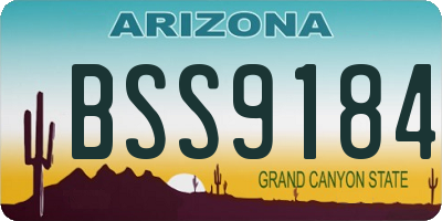 AZ license plate BSS9184