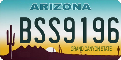 AZ license plate BSS9196