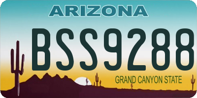 AZ license plate BSS9288