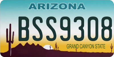 AZ license plate BSS9308