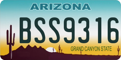 AZ license plate BSS9316