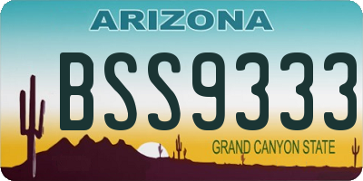 AZ license plate BSS9333