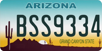 AZ license plate BSS9334