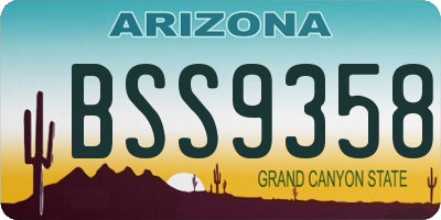 AZ license plate BSS9358