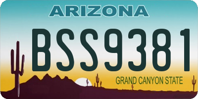 AZ license plate BSS9381