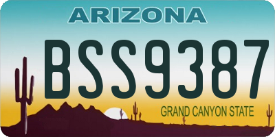 AZ license plate BSS9387