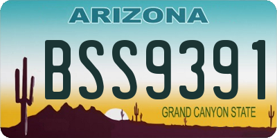 AZ license plate BSS9391