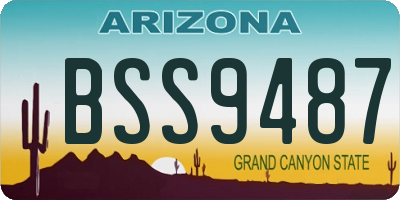 AZ license plate BSS9487