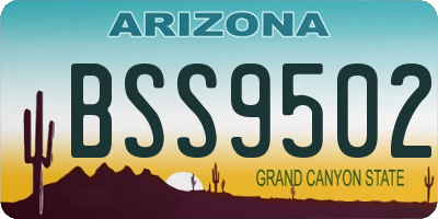 AZ license plate BSS9502