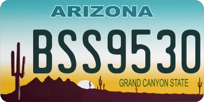 AZ license plate BSS9530