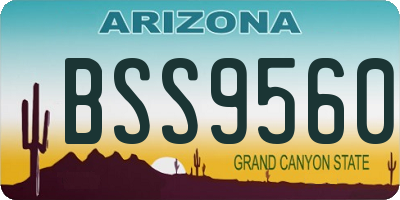AZ license plate BSS9560