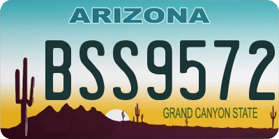 AZ license plate BSS9572