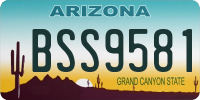AZ license plate BSS9581