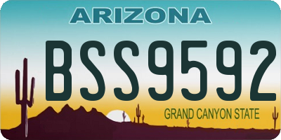 AZ license plate BSS9592