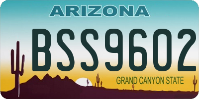 AZ license plate BSS9602