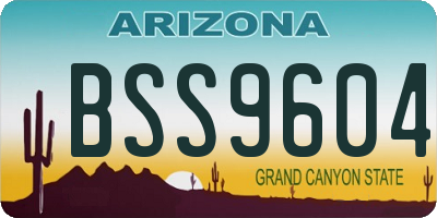 AZ license plate BSS9604