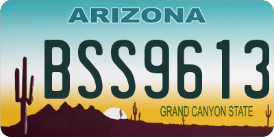 AZ license plate BSS9613