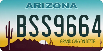 AZ license plate BSS9664