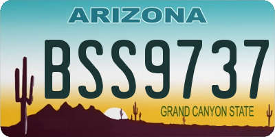 AZ license plate BSS9737