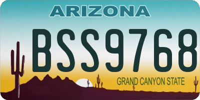 AZ license plate BSS9768