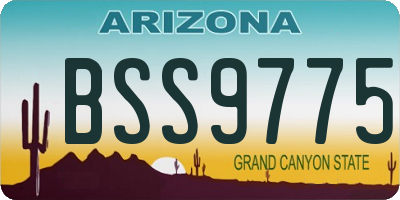 AZ license plate BSS9775