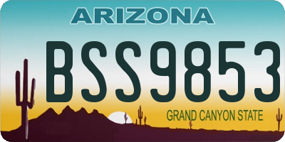 AZ license plate BSS9853