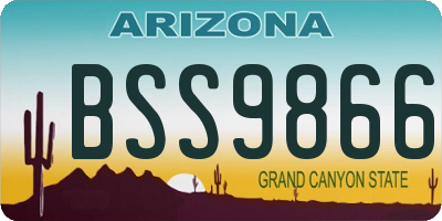 AZ license plate BSS9866