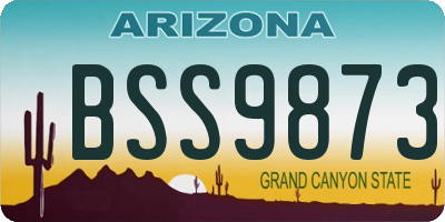 AZ license plate BSS9873