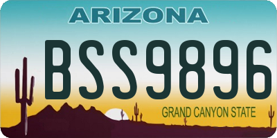 AZ license plate BSS9896