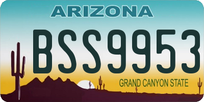AZ license plate BSS9953