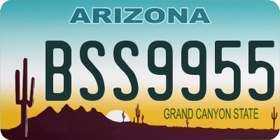AZ license plate BSS9955