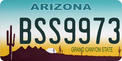 AZ license plate BSS9973