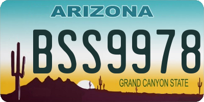 AZ license plate BSS9978
