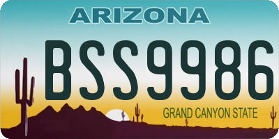 AZ license plate BSS9986